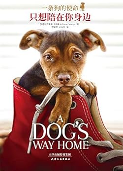 一条狗的使命：只想陪在你身边