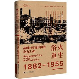 浴火重生：战时与革命中国的电力工业